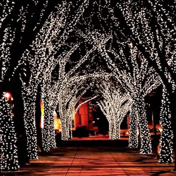 55' Solar-Powered 100-LED Fairy Light String - Warm White